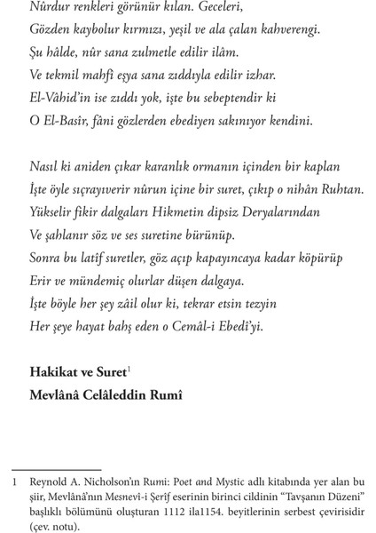 Gölgeler Koridoru - Muhyiddin Şekür