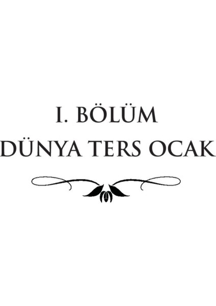 Sultan: Bir Kanuni Romanı - Okay Tiryakioğlu