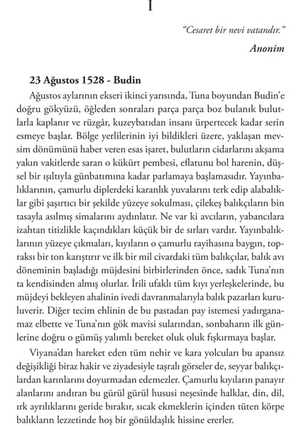 Sultan: Bir Kanuni Romanı - Okay Tiryakioğlu