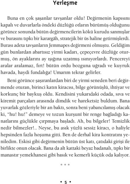Değirmenimden Mektuplar - Alphonse Daudet