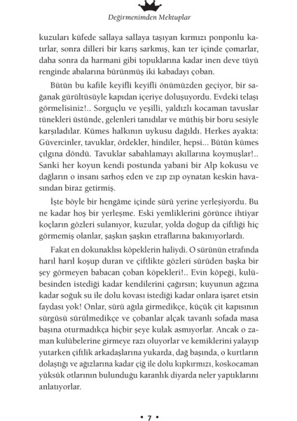 Değirmenimden Mektuplar - Alphonse Daudet