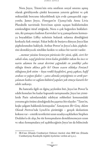 James Joyce Büyük Yazarın Gizli Evreni - Arthur Power