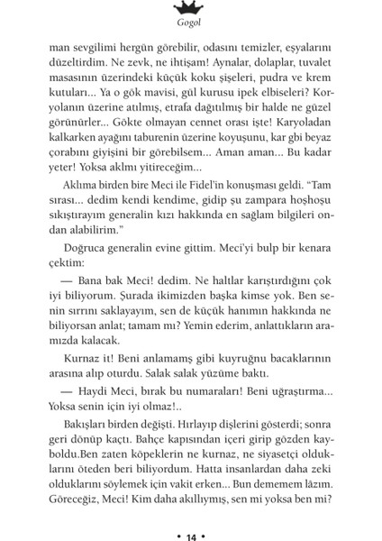 Bir Delinin Hatıra Defteri - Nikolay Vasilyeviç Gogol