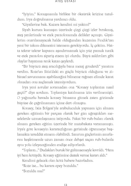 Ateş Ustası - Maria V. Snyder