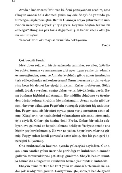 Dönüş Yolculuğu - Maeve Binchy