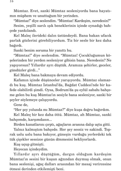 Bir Rüya gibi Hatırlıyorum Seni: Yaşamından Anılar 2 - Nazlı Eray