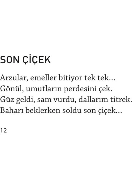 Efkar Vakti - Ahmed Günbay Yıldız
