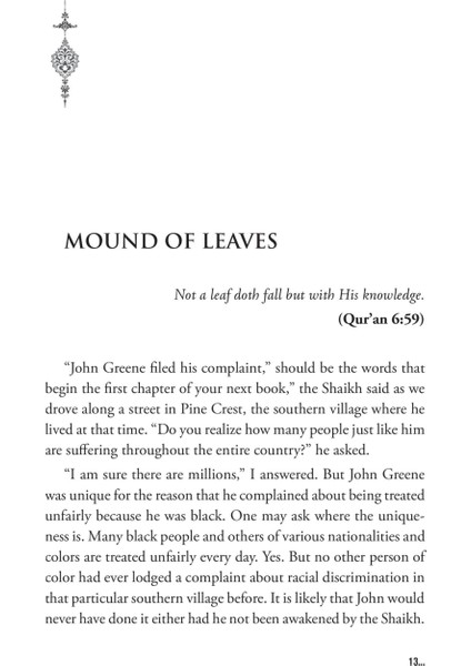 Corridor Of Shadows - (Futher Sufi Chronicles)-Muhyiddin Şekür