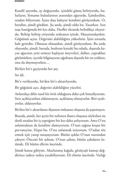 Birdenbire - Sadık Yalsızuçanlar