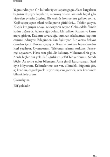 Birdenbire - Sadık Yalsızuçanlar