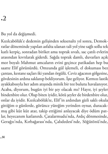 Birdenbire - Sadık Yalsızuçanlar