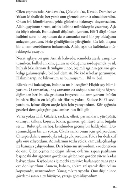 Birdenbire - Sadık Yalsızuçanlar