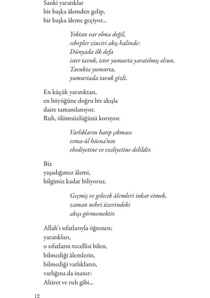 Güneşi Arayan Adam