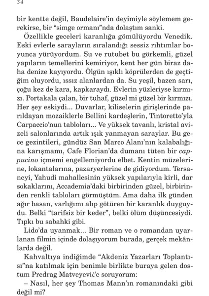 Aşk Kırgınları - Nedim Gürsel