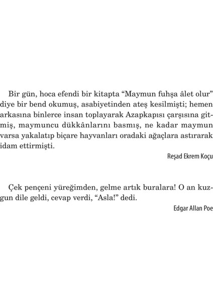 Gölge - İsmail Güzelsoy