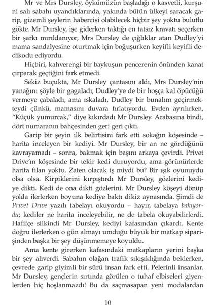 Harry Potter ve Felsefe Taşı - J. K. Rowling