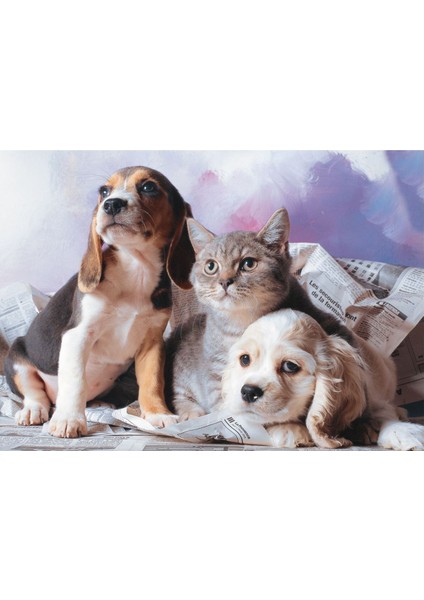 1000 Parça Kedi Köpek Kardeşliği Yapboz
