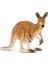 Fw Canguro / Kangaroo 1
