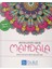 Renklerin Sırrı Mandala Her Yaş İçin Boyama Kitabı 1