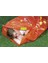 Coghlans Survival Bivvy Bag 1