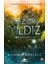 Gezgin Yıldız: Zodyak İkinci Kitap - Romina Russell 1