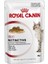 İnstinctive Jelly Yetişkin Kedi Maması 85 Gr 1