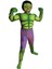 Marvel Hulk Çocuk Dev Adam Kostümü Lüks 7-9 Yaş 1