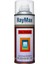 RayMax Sprey Parlak Vernik 1