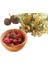 Zeytin Ağacı Kase Düz 12 cm 1