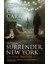 Surrender,New York Çöp Çocuk Cinayetleri 1