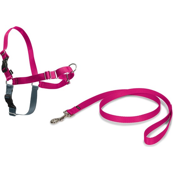 Easy Walk™ Harness Pembe Köpek Göğüs Tasması - Medium ( 51 - 71 cm )