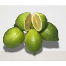 Dökme Ürünler Evimde Bahçem Taze Meyve Yeşil Limon Net 6 kg