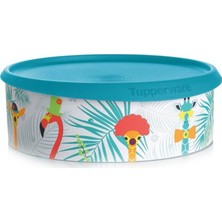 Tupperware Tek Parmak Kurabiye Filemingo