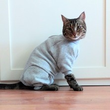Stylie Uzun Kollu Kedi Ameliyat Sonrası Giysisi
