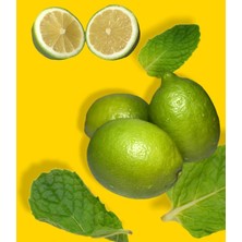 Dökme Ürünler Evimde Bahçem Yeşil Limon Taze Meyve 2 kg File Limon