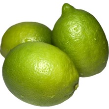 Dökme Ürünler Evimde Bahçem Yeşil Renkte Taze Limon 7 kg