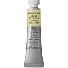 Winsor & Newton : Professional : Tüp Sulu Boya : 5 ml : Naples Yellow 422 S.1