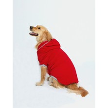 Ponchic Kapşonlu Baskılı Köpek Sweatshirtü