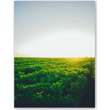 Caka Tablo  Ahşap Tablo Gündoğumu ve Yeşil Tarlalar