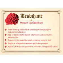 Ergenekon Aksesuar 925 Ayar Gümüş Püsküllü Küre Kesim Harf Hediyeli Sedef-Mercan Doğaltaş Tesbih
