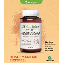 Farmasi Nutrıplus Reıshı Mantarı Ekstresi 60 Kapsül