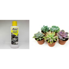 Tunç Botanik TROPİKAL KAKTÜS SUKULENT BESİNİ 3 ADET - 225 ML