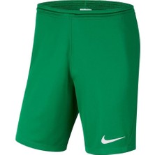 Nike Park III Short BV6855-302 Erkek Şort