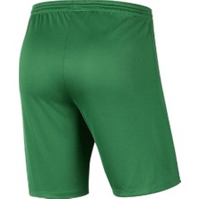 Nike Park III Short BV6855-302 Erkek Şort