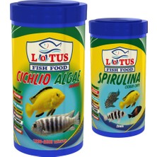 Lotus Cichlid Algae 1000 ml + Spirulina 250 ml Balık Yemi