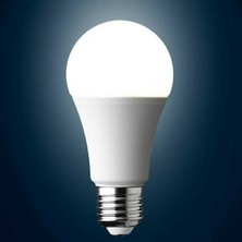 Proich LED Ampul Beyaz Renk 10 Watt Tasarruflu 10 Lu Paket E 27 Normal Duy