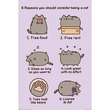 Maxi Poster Pusheen Reasons To Be A Cat