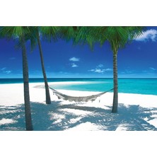 Maxi Poster Hammock In Paradise