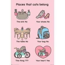 Maxi Poster Pusheen Places Cats Belong