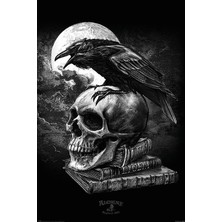 Maxi Poster Alchemy (Poe's Raven)